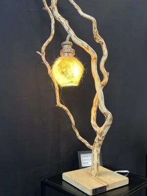 Habitat19