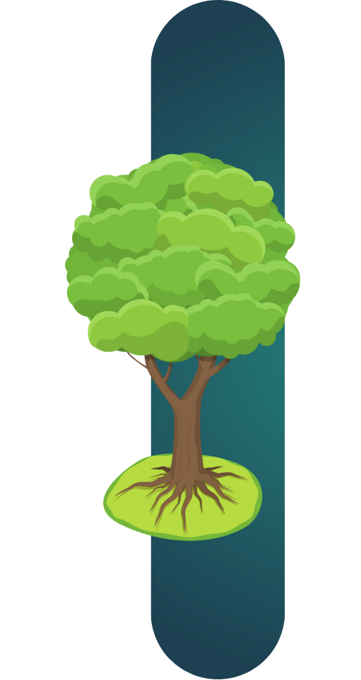 arbre